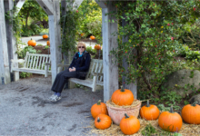 Carol Amidst the Pumpkins