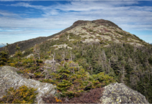 The Summit of Mt Mansfield