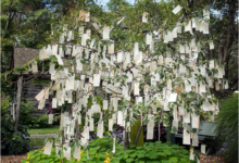 The Wishing Tree, Berkshire Botanical Gardens