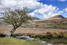 The Ogwen Valley Path