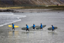 Surfers On Skagsanden Beach