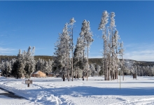 Grounds of the Old Faithful Snow Lodge