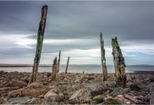Ruined Timbers on Lidisfarne