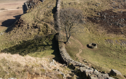 Sycamore Gap