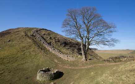 Sycamore Gap