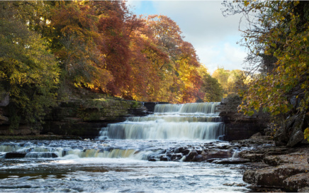 Aysgarth Falls