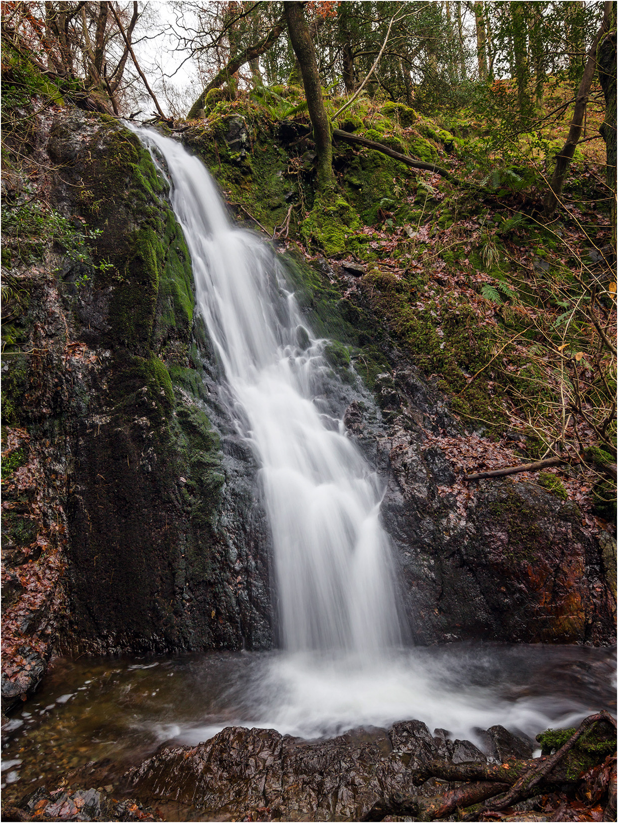 Tom Gill Waterfall