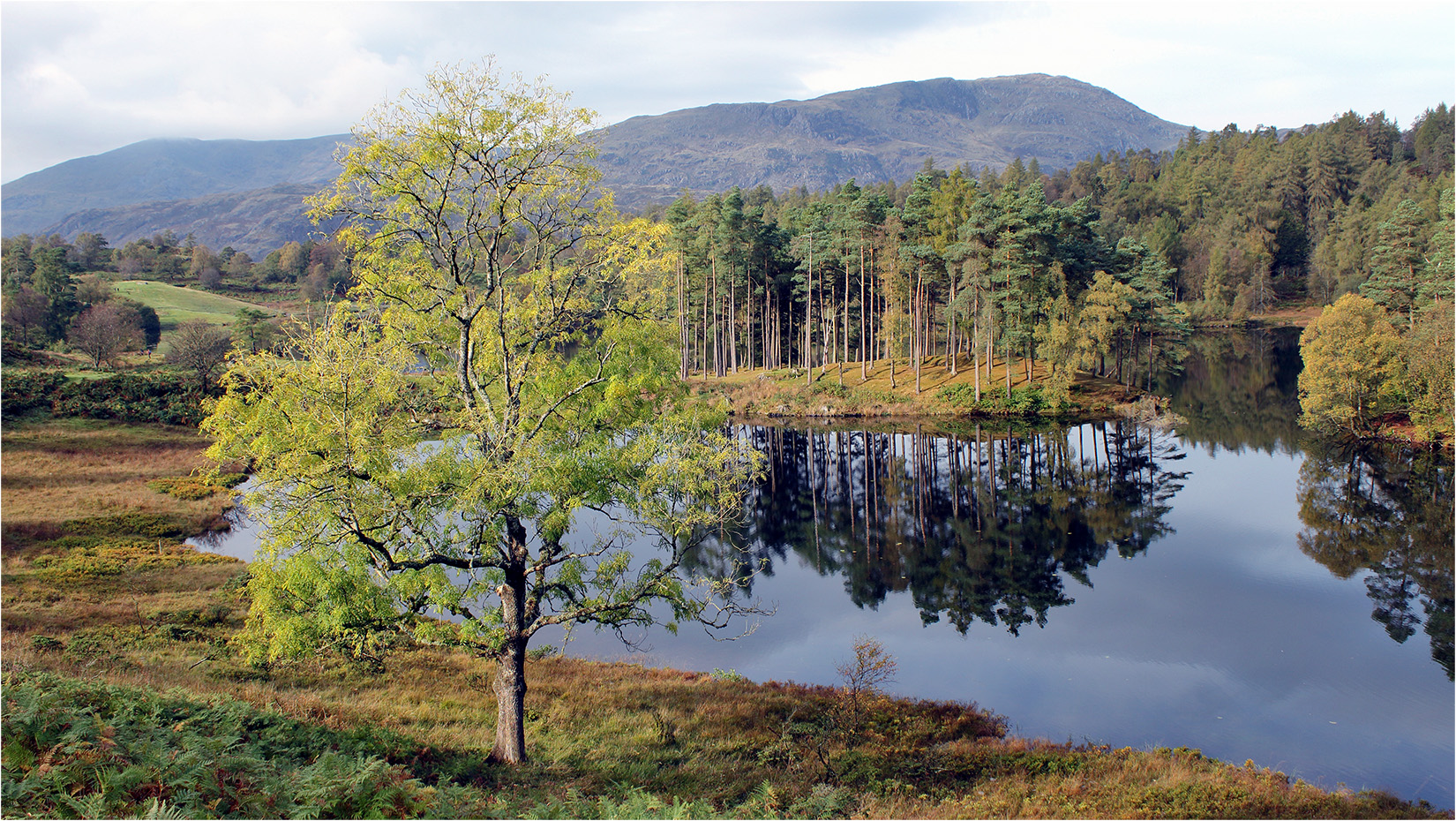 Tarn Hows In Autumn