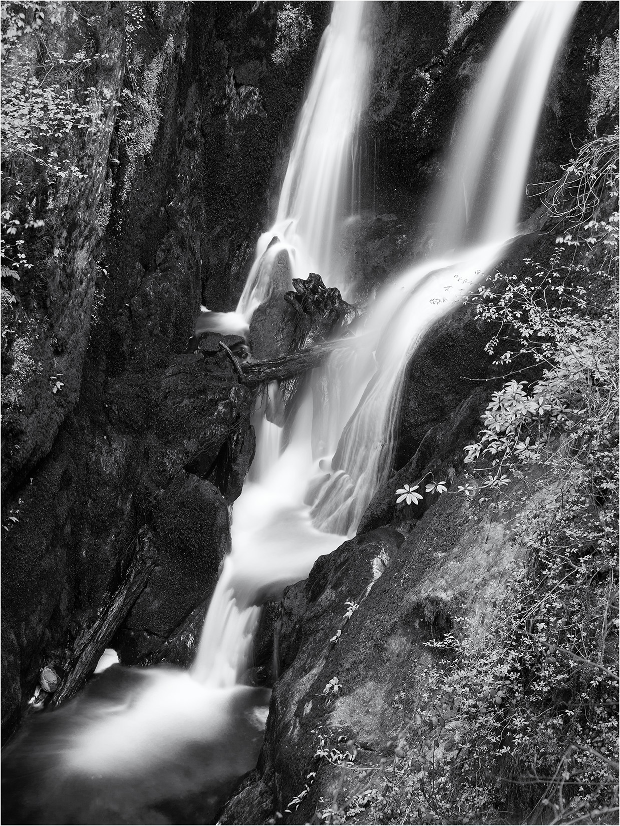 Stock Ghyll Waterfall