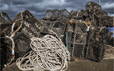 Lobster Pots at Seahouses Harbour