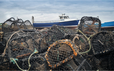 Seahouses Harbour