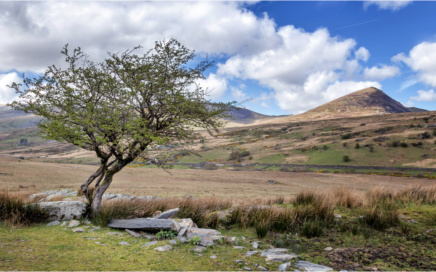 The Ogwen Valley Path