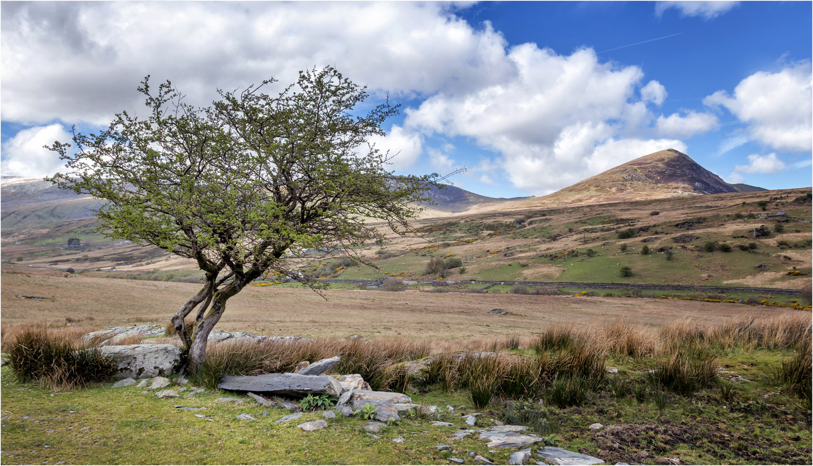 The Ogwen Valley Path