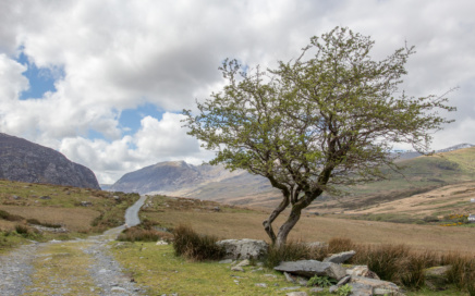 The Ogwen Valley Path