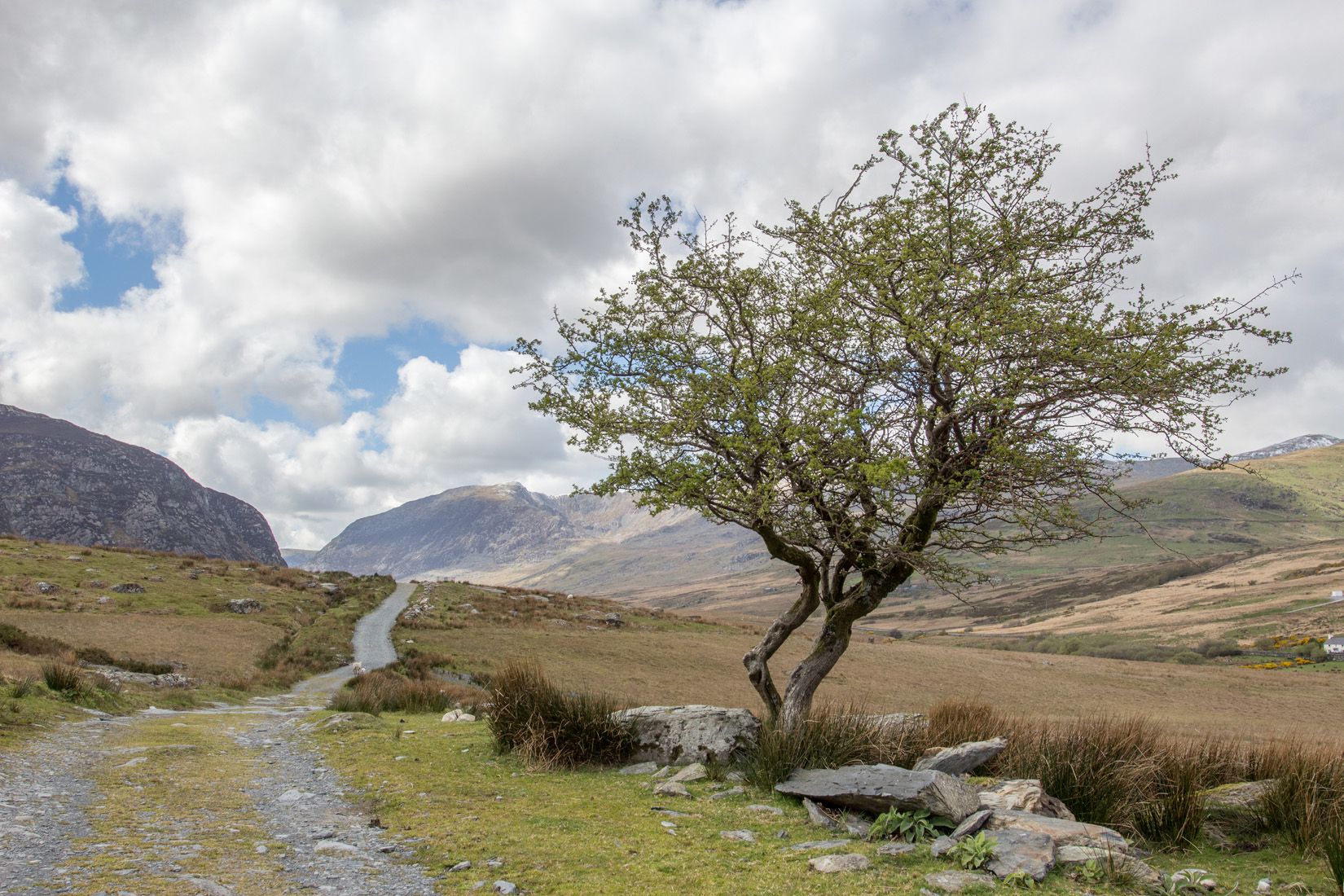 The Ogwen Valley Path