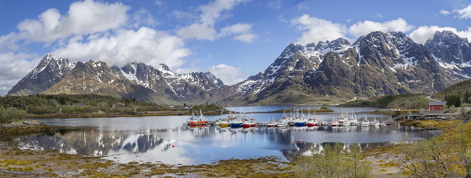 Fishing Fleet In The Austnes Fjord