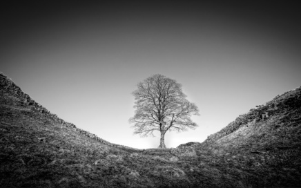 Sycamore Gap