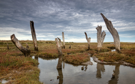 The Old Jetty At Thornham