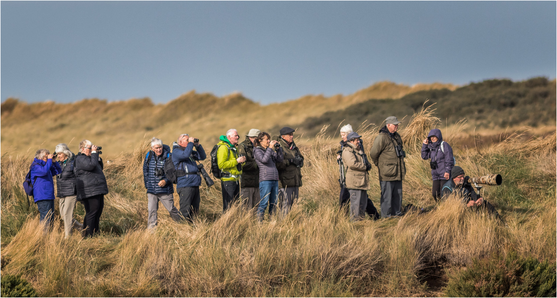 Bird Watchers