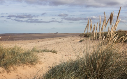 Titchmarsh Beach