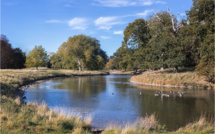 Holkham Lake