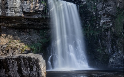 Thornton Force