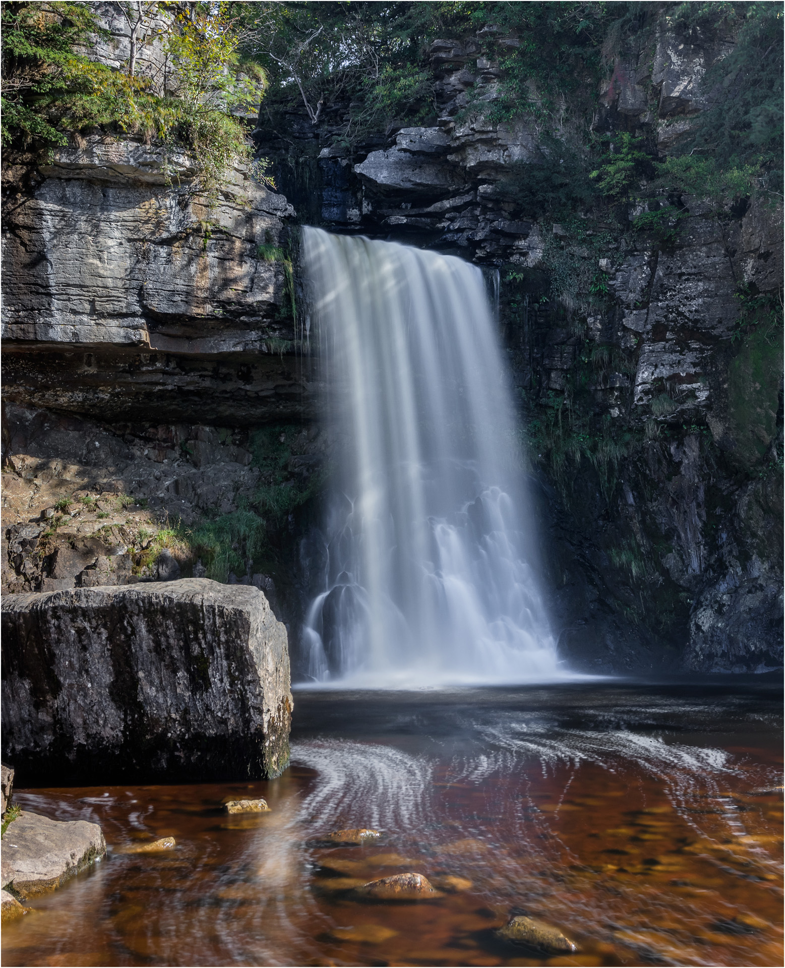 Thornton Force