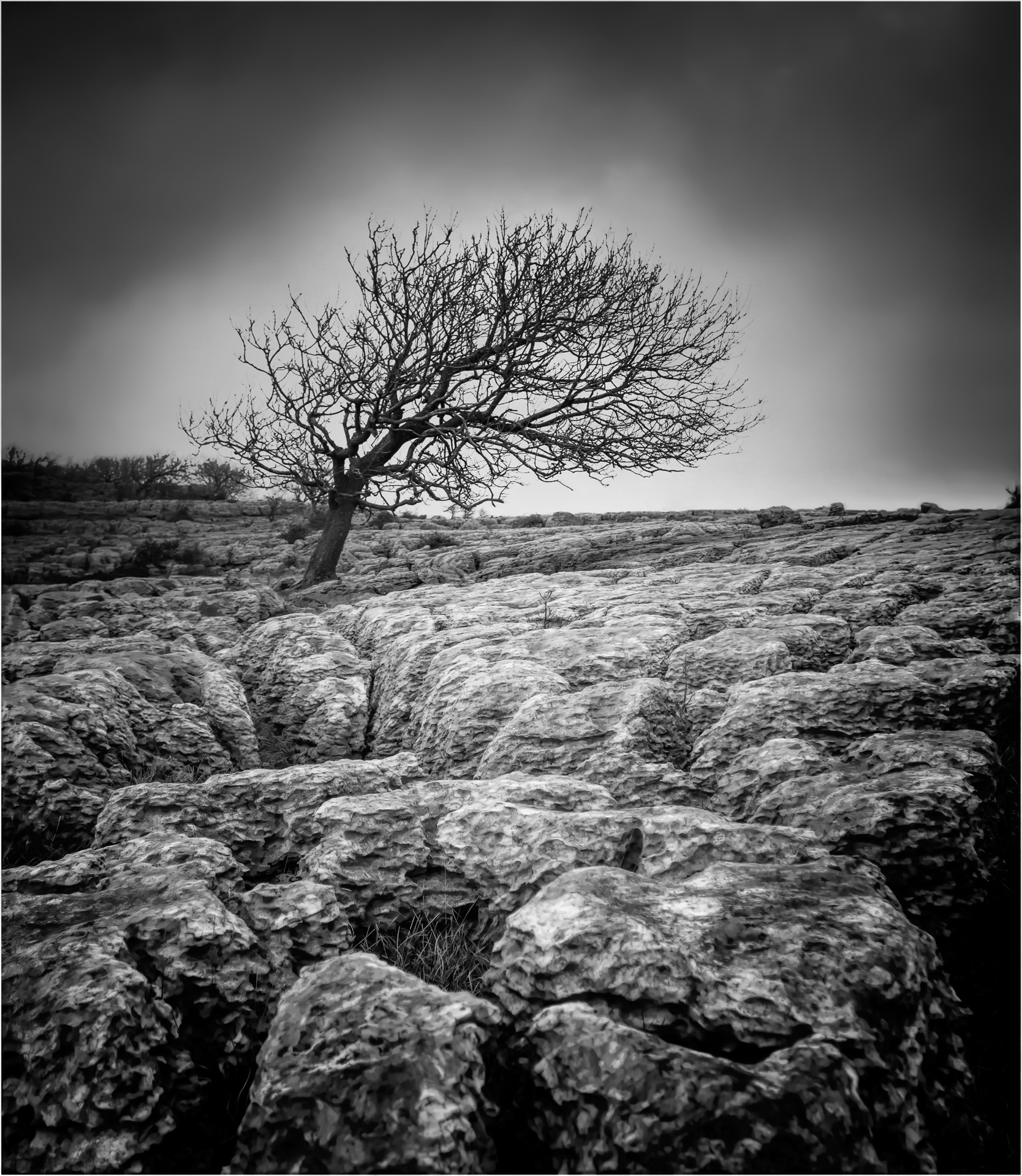 Holme Park Fell Limestone Pavement