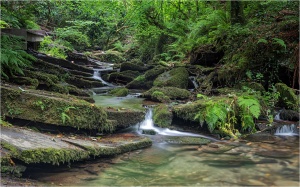 St Nectan's Glen