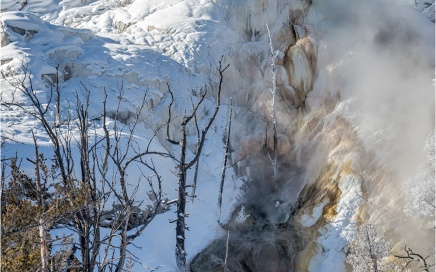 Glen Spring, Mammoth Hot Springs