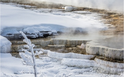 Mound Spring, Mammoth Hot Springs