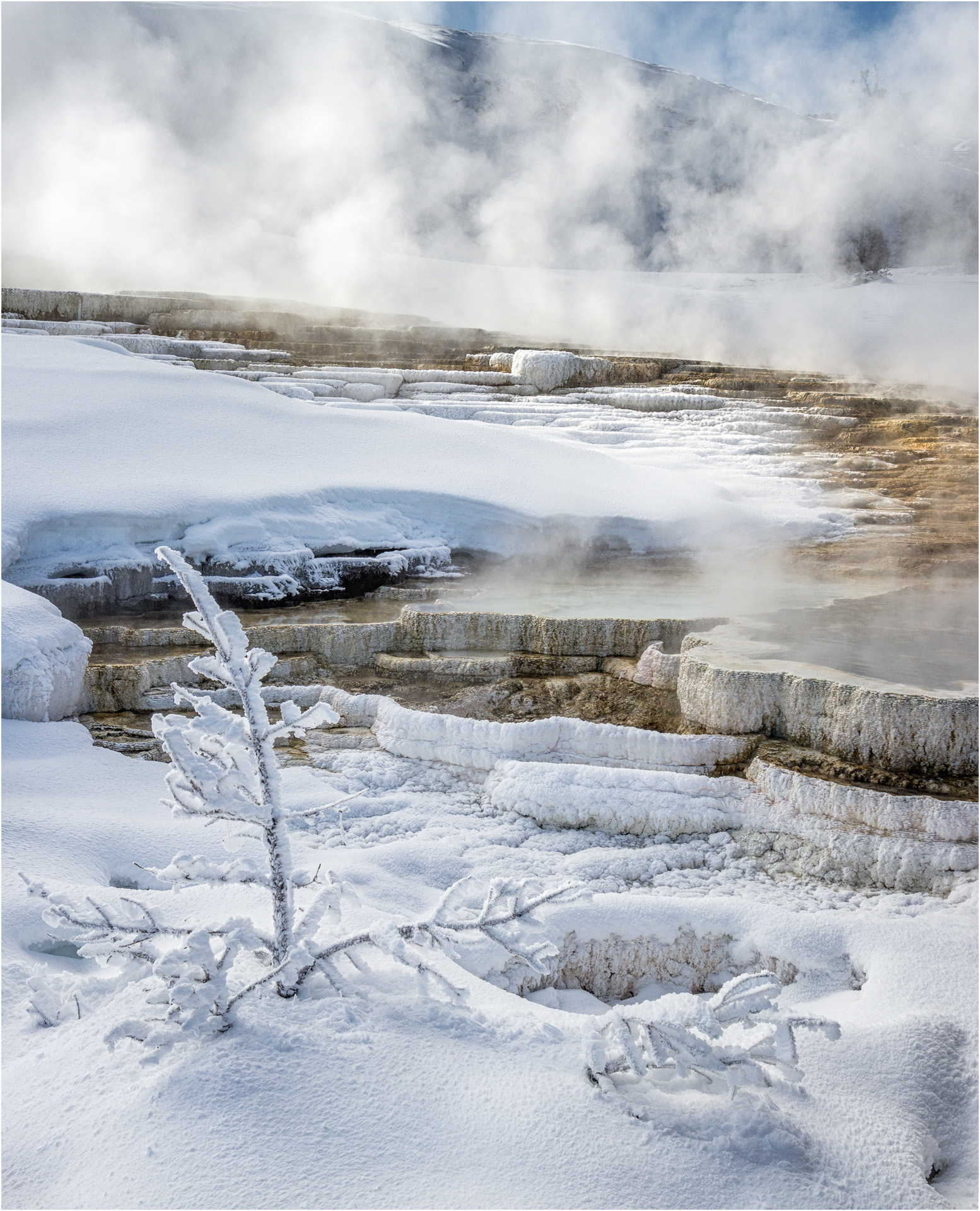 Mound Spring, Mammoth Hot Springs