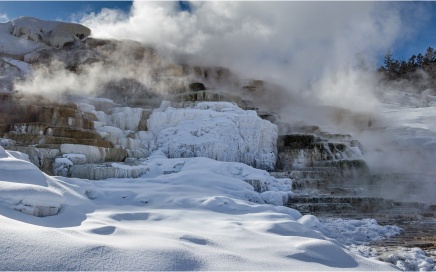 Palette Spring, Mammoth Hot Springs