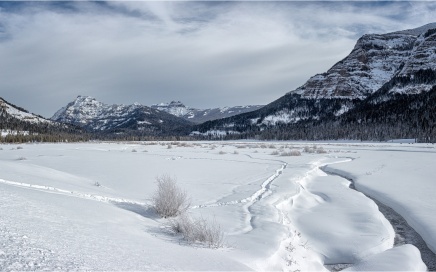 The Lamar Valley