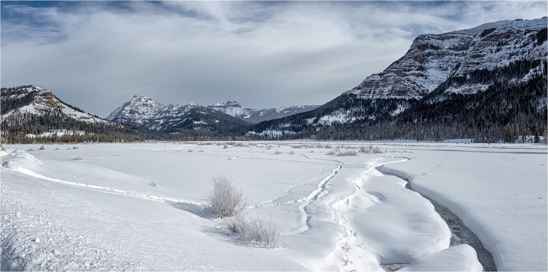 The Lamar Valley