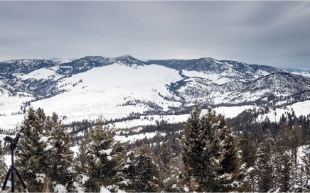 Looking For The Junction Butte Wolf Pack