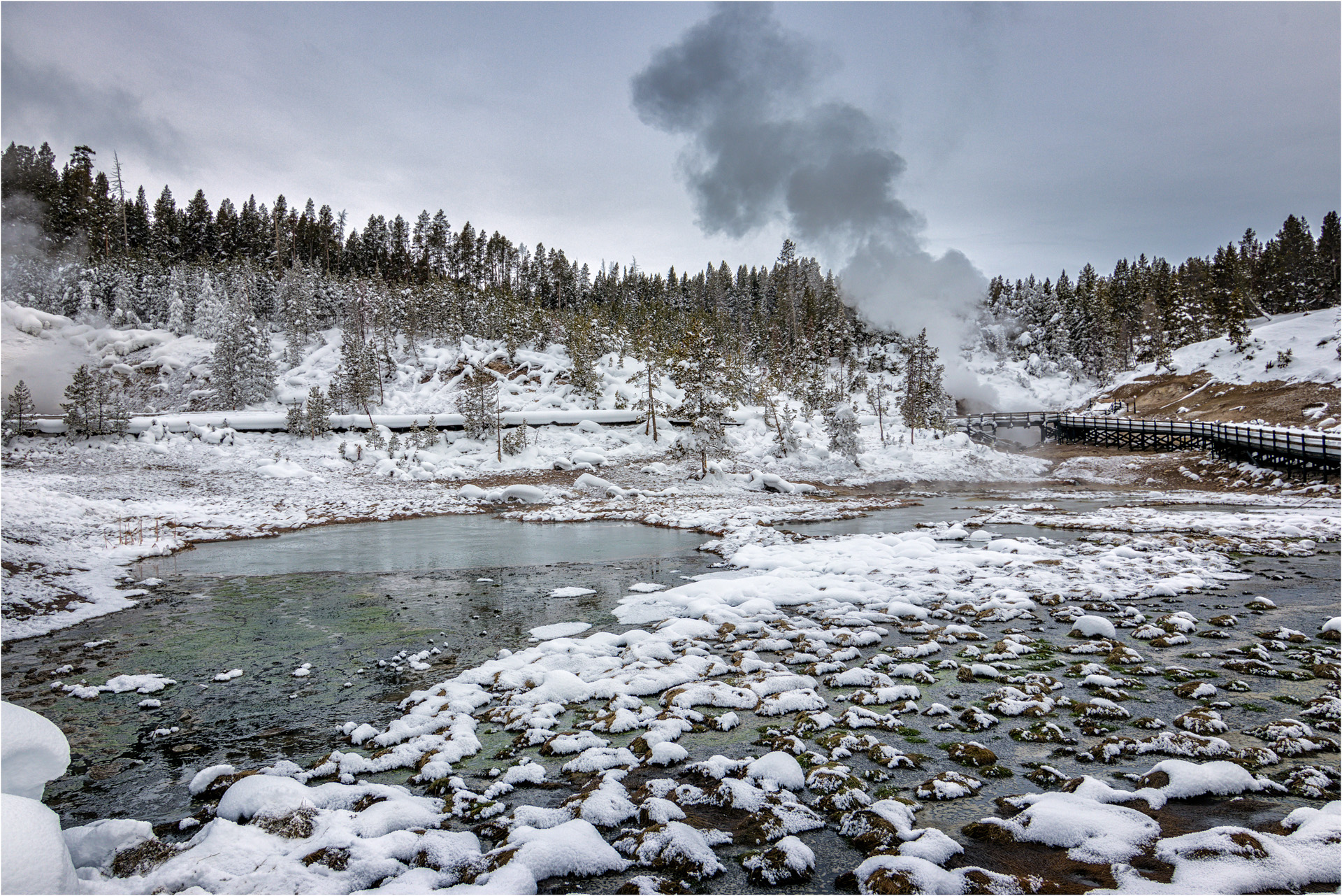 The Mud Volcano Thermal Area