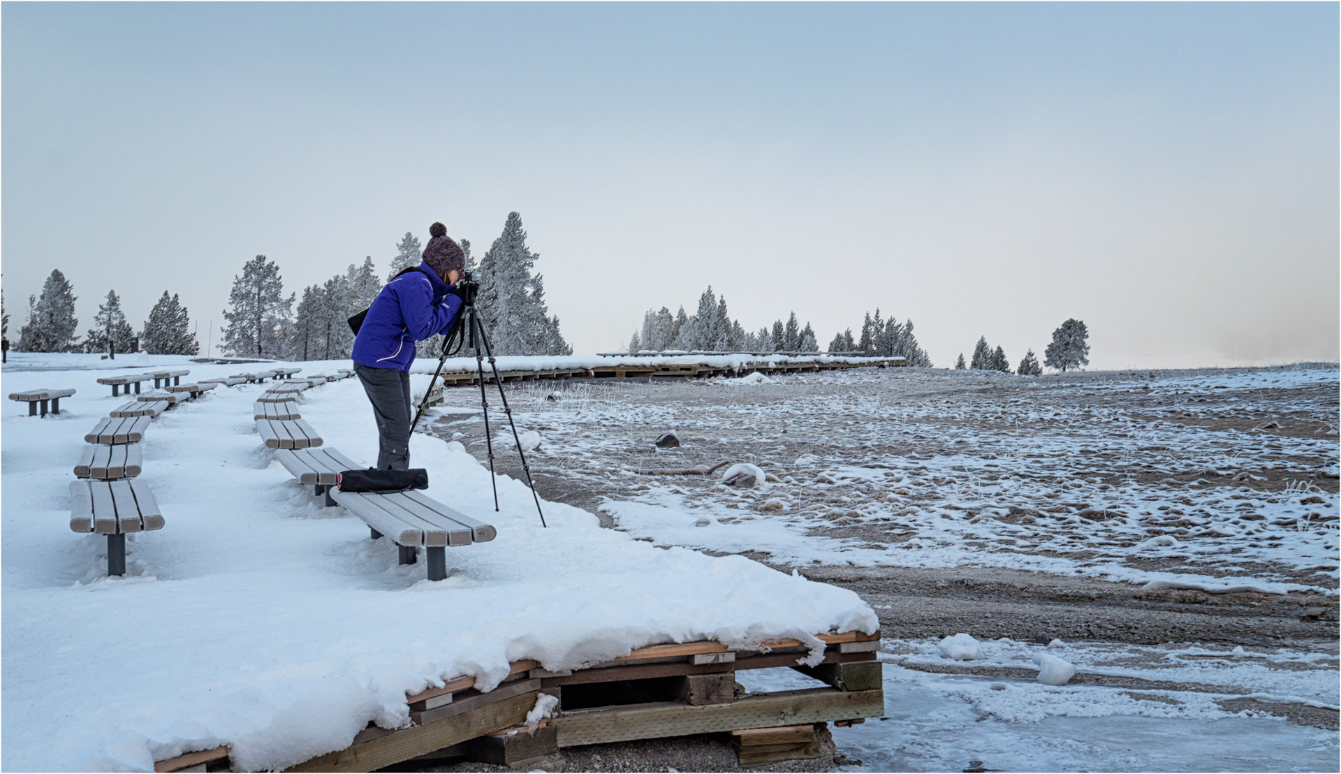 Carol Photographing Old Faithful