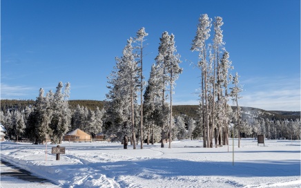 Grounds of the Old Faithful Snow Lodge