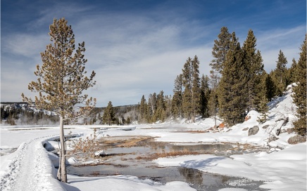 Upper Geyser Basin