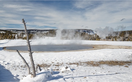 Beauty Pool