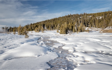 The Geyser Hill Area