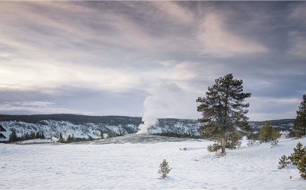 Evening Light on Old Faithful