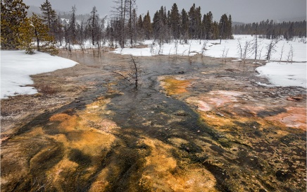 Daisy Geyser Run-Off