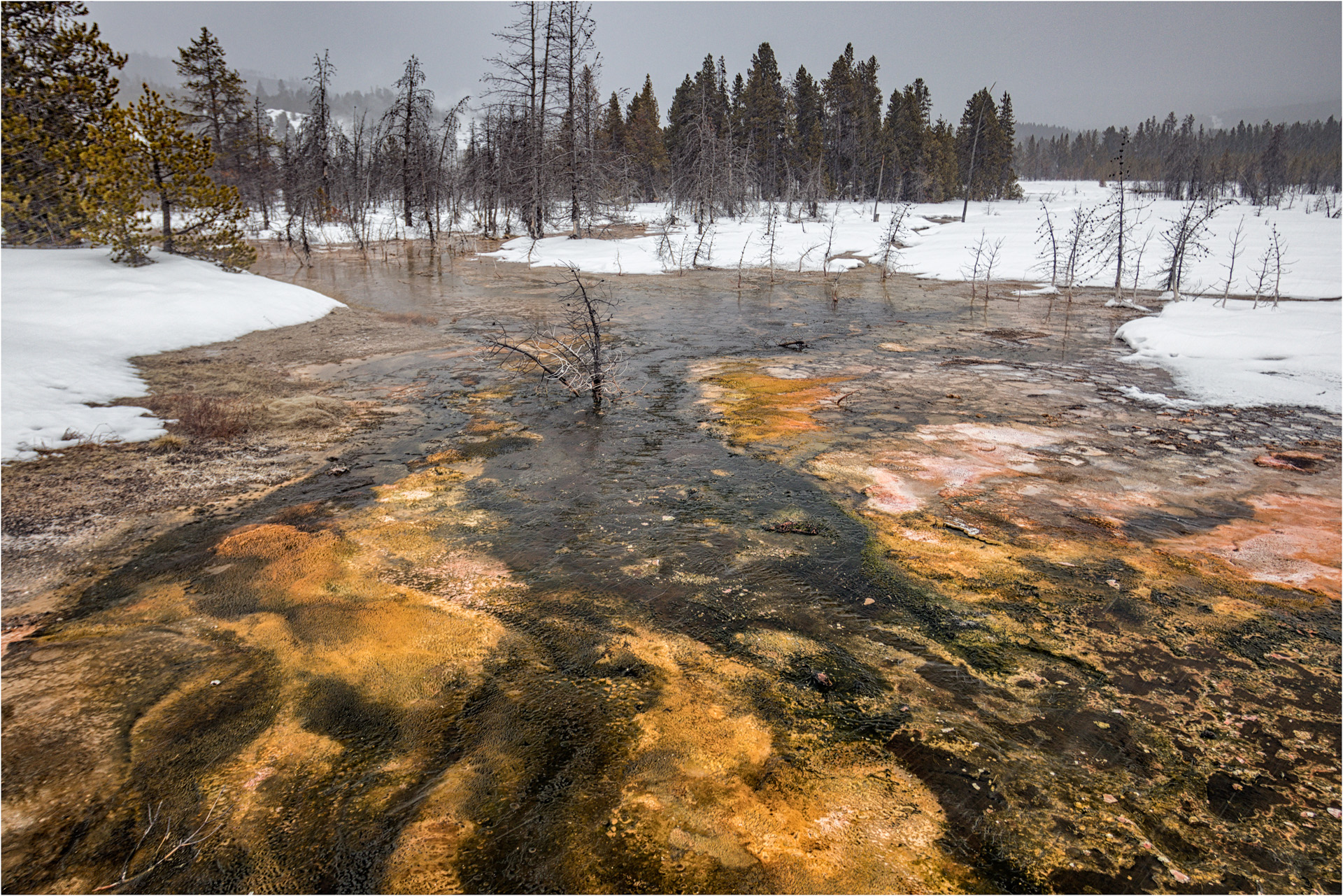 Daisy Geyser Run-Off