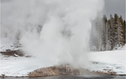 Riverside Geyser