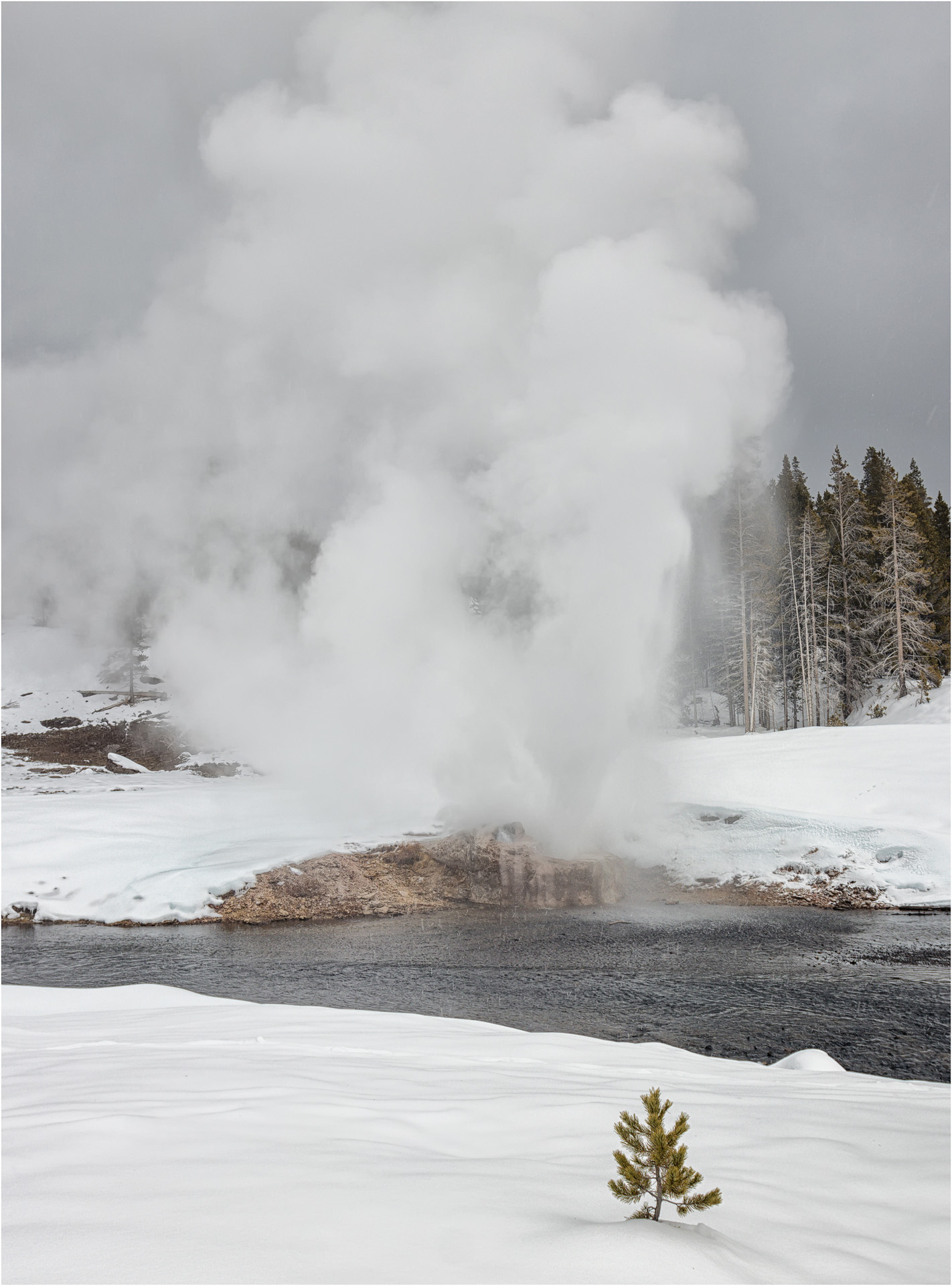 Riverside Geyser