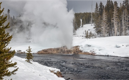 Riverside Geyser