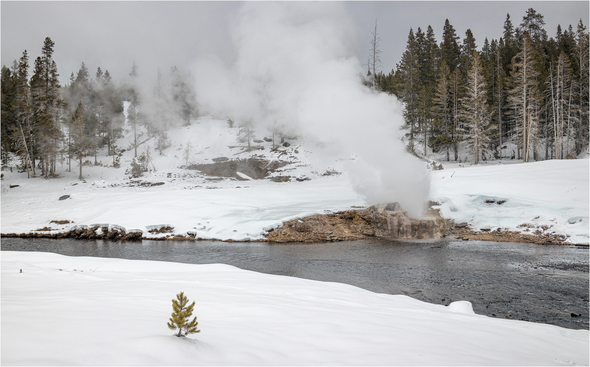 Riverside Geyser