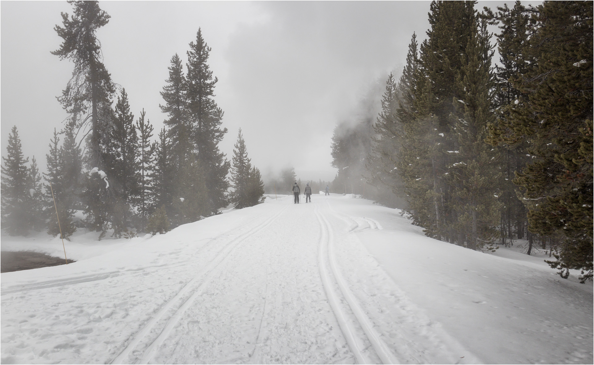 Yellowstone Snow And Steam